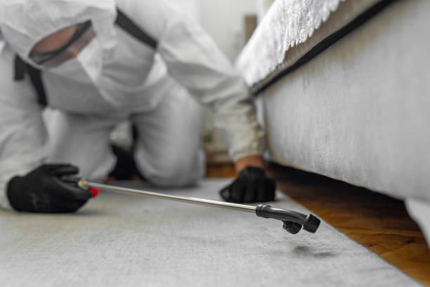 Professional Bed Bug Control technician working in Junction City, OR